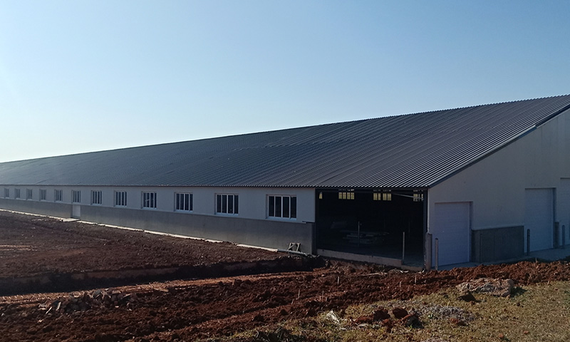 內蒙古烏蘭察布黃茂營牛舍